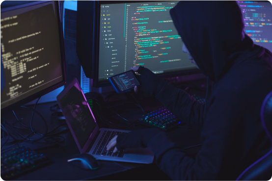 Computer hacking forensic investigation